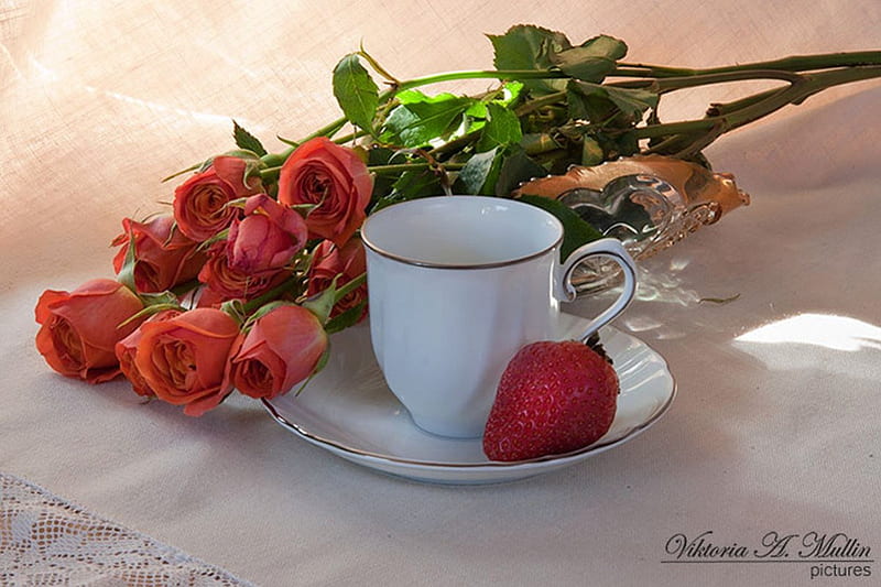 Still life with roses, perfume, red, artist, grapher, bonito, tea, still life, graphy, flowers, strawberries, beauty, porcelain, table, art, arrangements, fresh, roses, abstract, freshness, smell, cup, tasty, nature, white, natural, HD wallpaper
