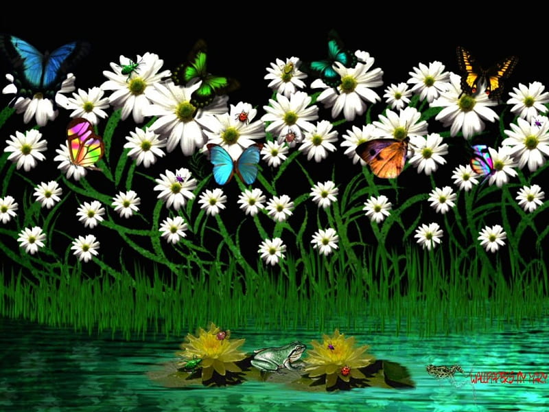 Spring Daisies, Water, Butterflies, Frogs, Daisy, Flowers, Daisies, Ponds, Butterfly, HD wallpaper