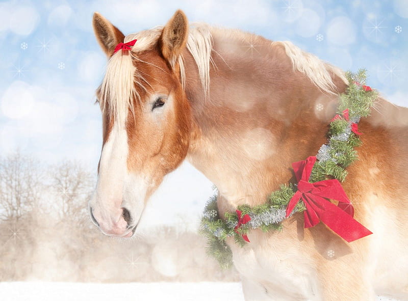 holiday equine clipart