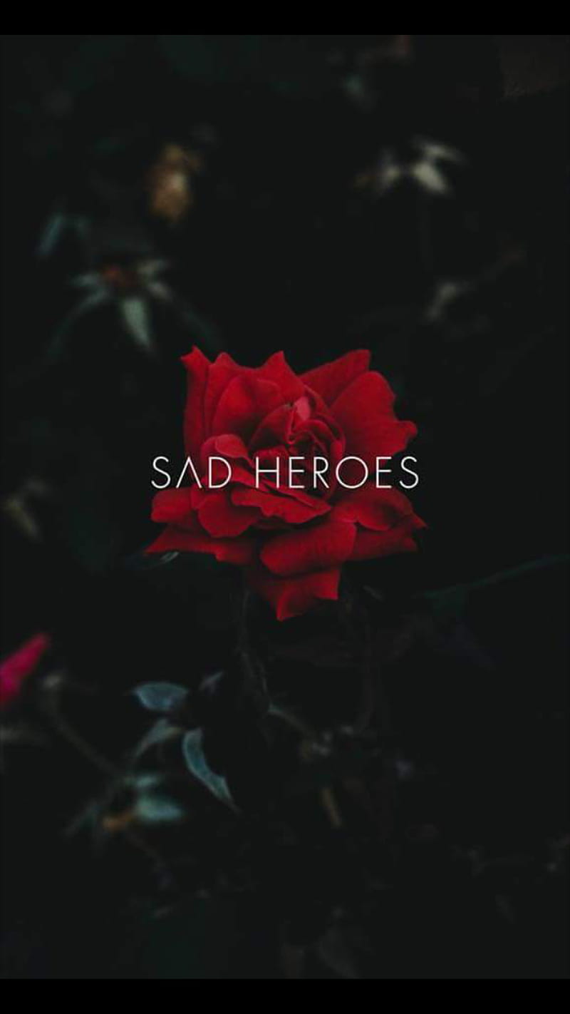 Sad, depression, love, roses, HD phone wallpaper | Peakpx