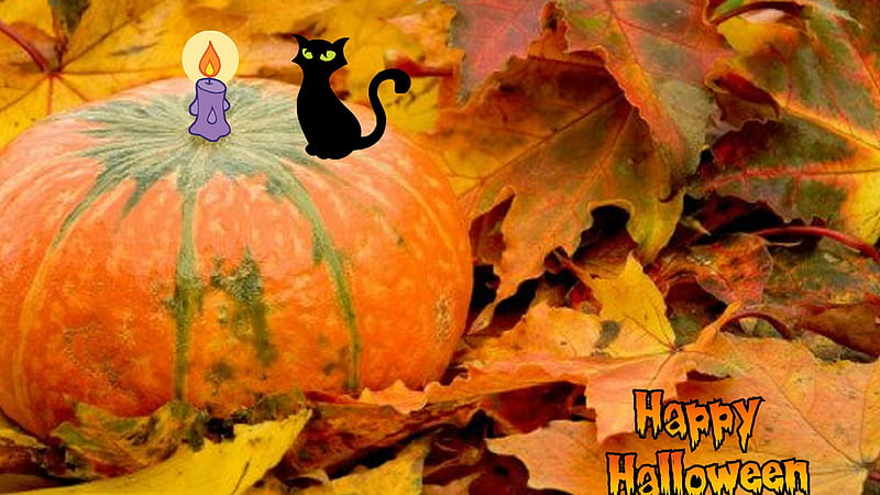 Pumpkin With Candle And Black Cat Happy Halloween, HD wallpaper