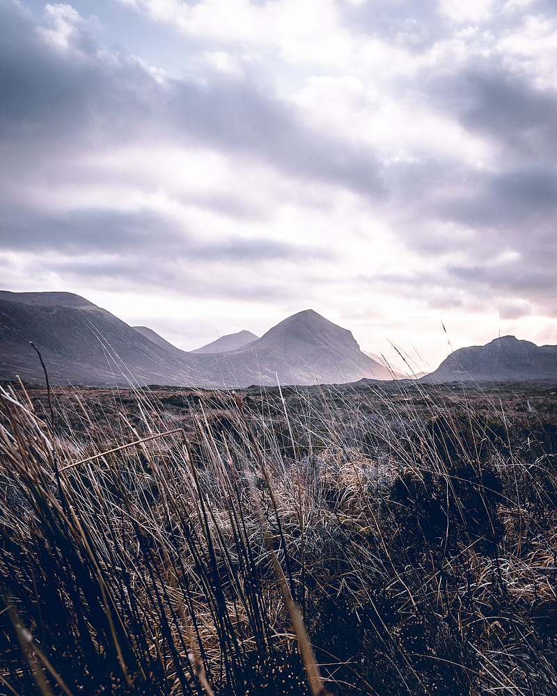 mountains, grass, landscape, clouds, fog, hilly, HD phone wallpaper