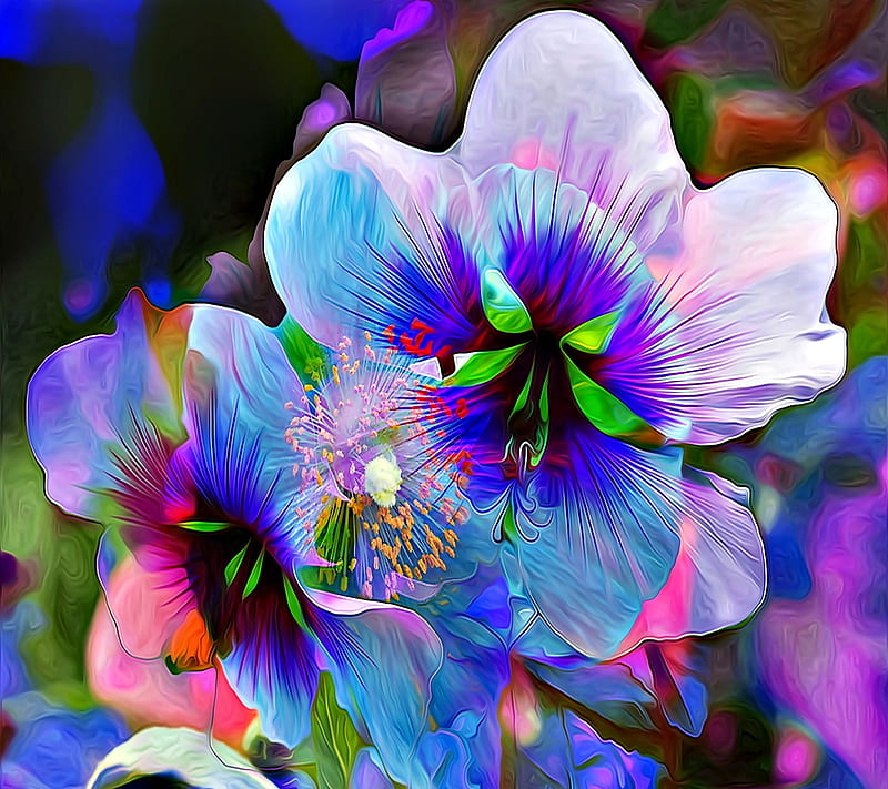 Floral Flowers, HD wallpaper | Peakpx