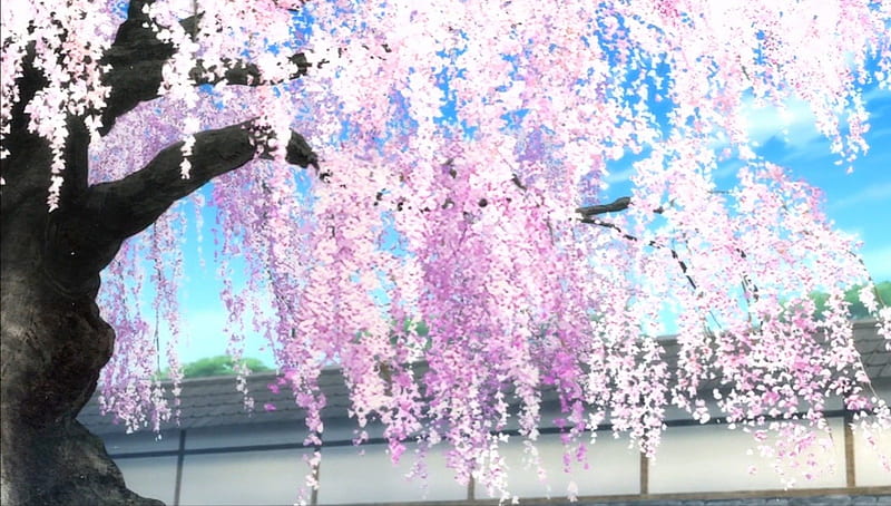 Cherry Blossom, sakura, roof, lovely, sakura blossom, plant, sky, floral, sweet, tree, anime, flower, pink, HD wallpaper