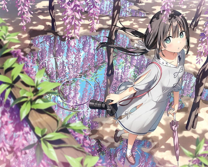 kantoku, anime girl, purple flowers, camera, spring, reflection, Anime, HD wallpaper