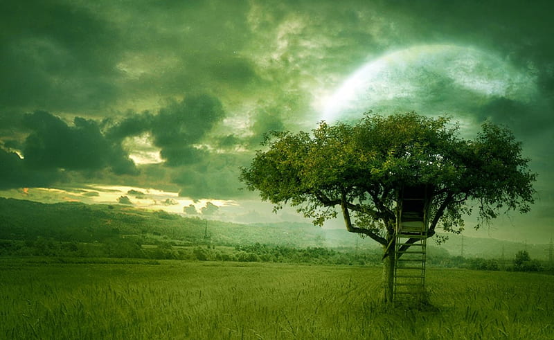 golden dream, green, treehouse, nature, fields, dream, landscape, HD wallpaper