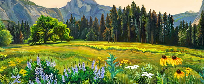 Cook's meadow- Yosemite NP, hills, art, grass, spring, trees, freshness, mountain, yosemite, national park, wildflowers, painting, summer, flowers, nature, field, meadow, HD wallpaper