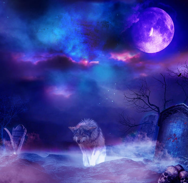 Wolf Night In The Cemetery, cemetery, manipulation, animal, moon, purple, dark, wolf, dog, blue, night, HD wallpaper