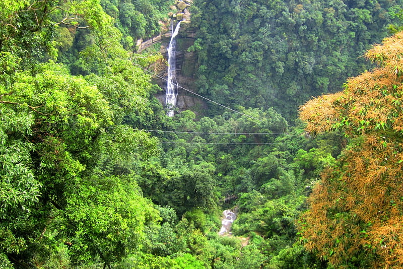 Waterfall, mountain, forest, mountain climbing, valley, HD wallpaper