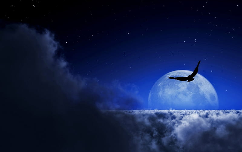 Fly By Night, eagle, clouds, moon, cgi, bird, landscape, 1920x1200, blue, night, HD wallpaper