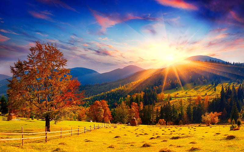 Autumn, Carpathian mountains, mountains, forest, sunset, Ukraine, green hills, HD wallpaper