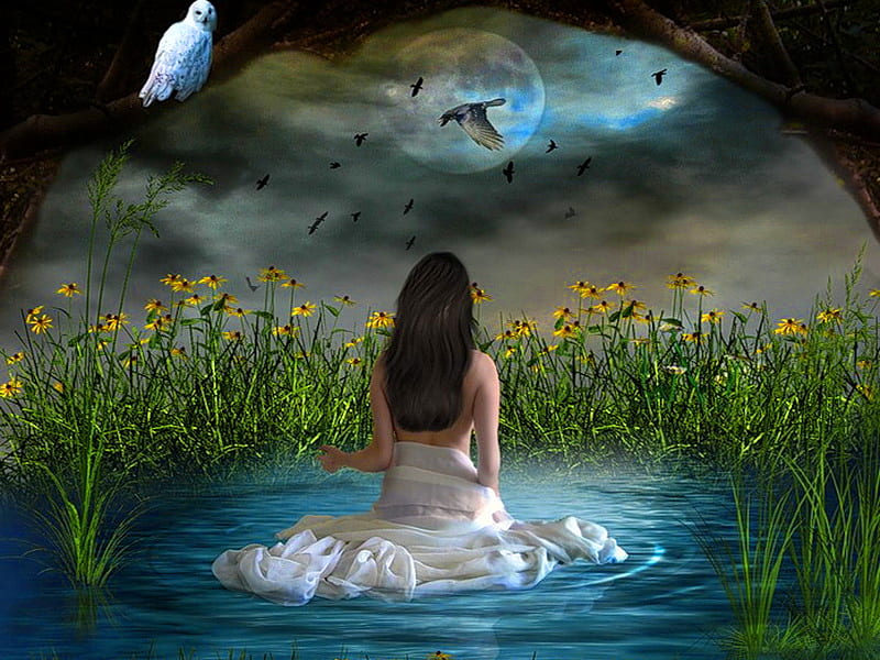 Night pleasure, sky, woman, clouds, pond, water, girl, bird, flowers, pleasure, lady, night, HD wallpaper
