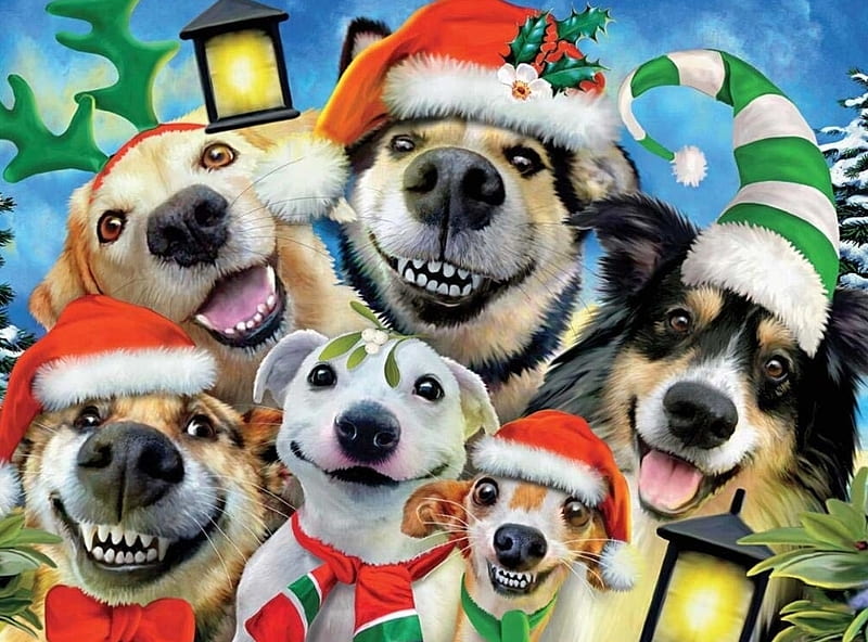 Selfie navideño, santa, navidad, craciun, duende, caine, perro, sombrero,  rojo, Fondo de pantalla HD | Peakpx