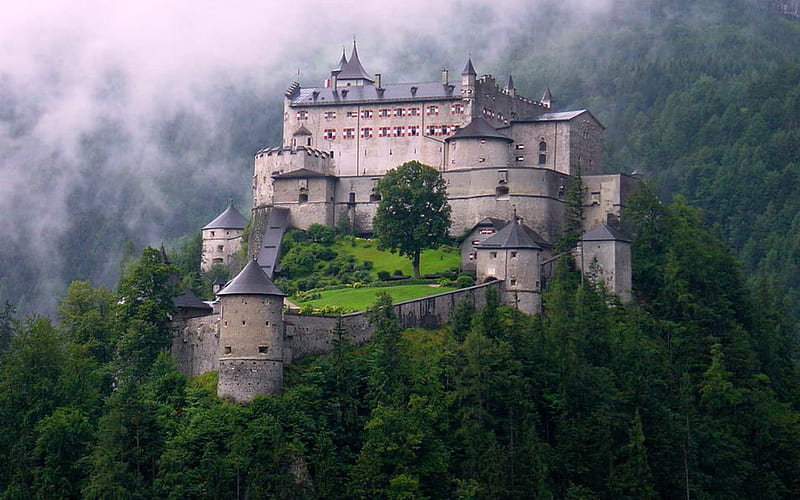 Hohenwerfen Castle, Austria, Austria, Forest, Castle, Medieval, HD wallpaper