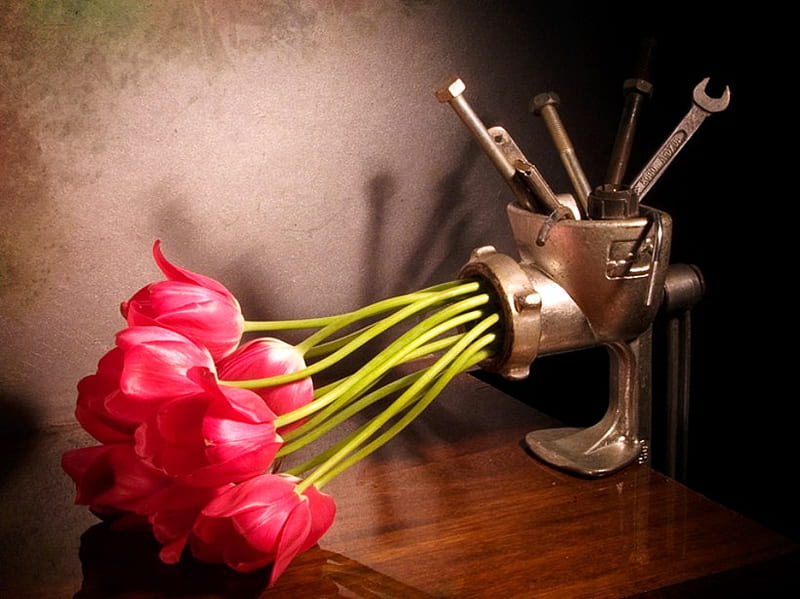 Innovation, red, stems, grinder, tulips, tools, HD wallpaper