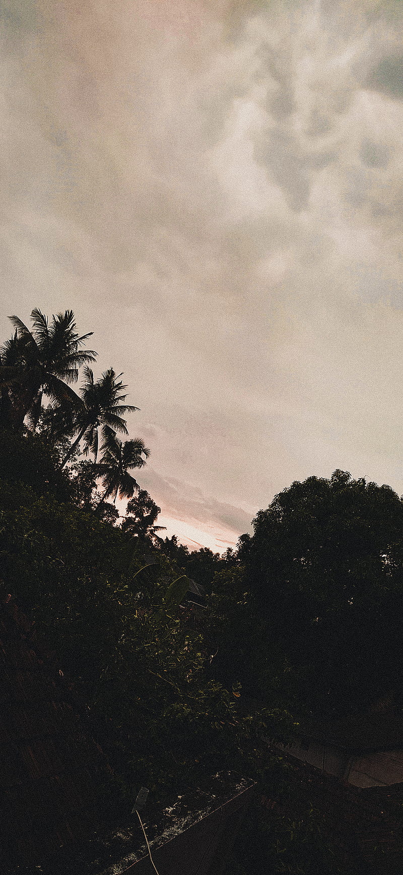 Sky , aesthetic, moody, morning, nature, night, sunset, HD phone wallpaper