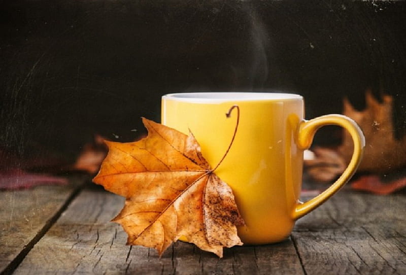 Yellow cup, autumn, stil life, yellow, cup, tea, leaf, HD wallpaper