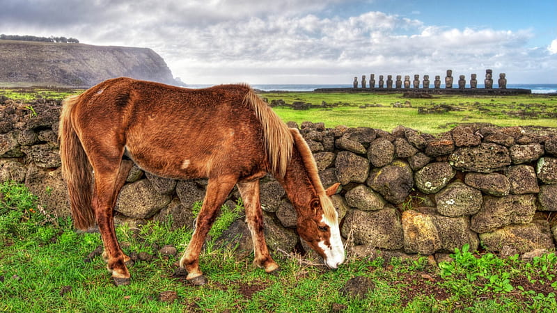 horse grazing on easter island r, stones, grass, r, horse, clouds, wall, moi, HD wallpaper
