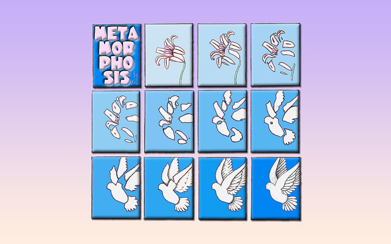 Metamorphosis, bird, flower, lilly, dove, HD wallpaper