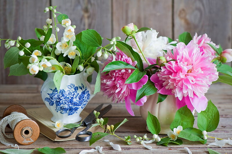 Jasmine peony, Blooms, Leaves, Flowers, Pink, HD wallpaper | Peakpx