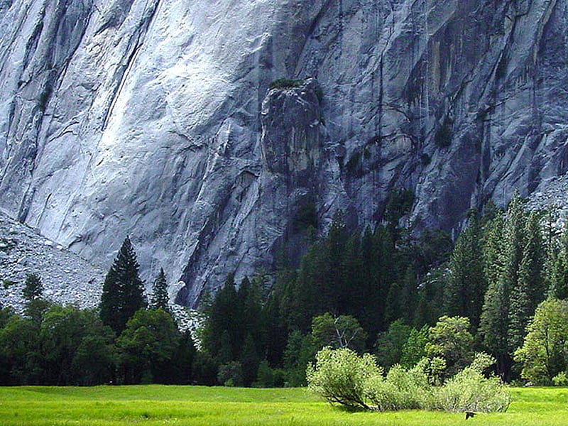 Steep rockface, mountain, rockface, trees, grass, HD wallpaper
