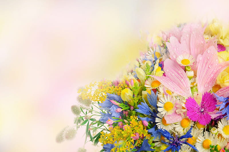 Colorful flowers: Bức ảnh này thật đặc sắc, với những loài hoa rực rỡ tạo thành một vòng cung đầy màu sắc, đưa người xem đến với một thế giới đầy phong cách và tràn đầy sự ngẫu hứng.