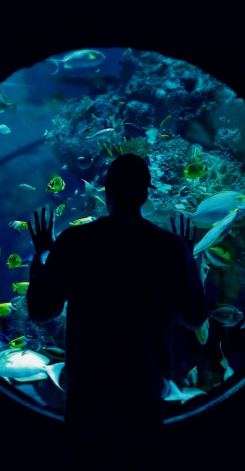 Underwater Alan Walker Alone Boy Fantasy Ocean Sayansinghrajput Turtle Hd Phone Wallpaper Peakpx