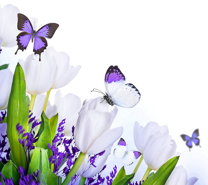 Floral Butterflies, butterfly, flowers, spring, tulips, HD wallpaper