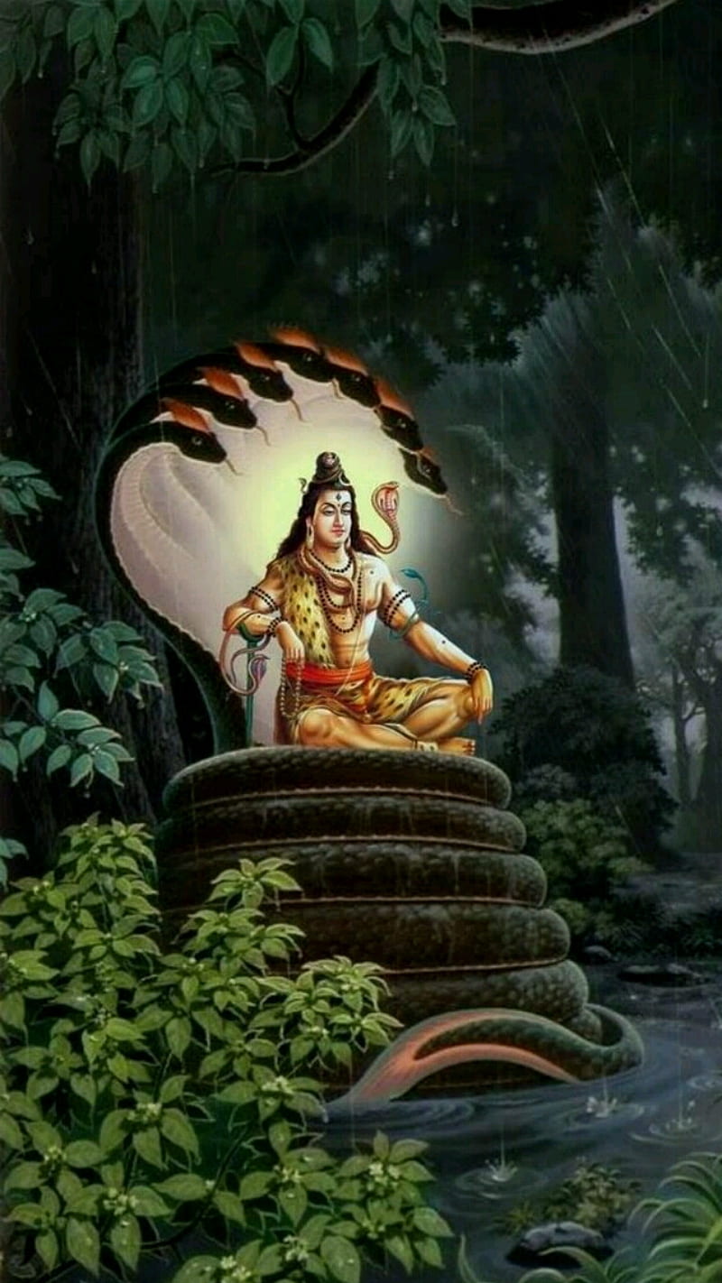 Nama Shiva, beautiful place, gods maditation, power, shiva, HD phone wallpaper