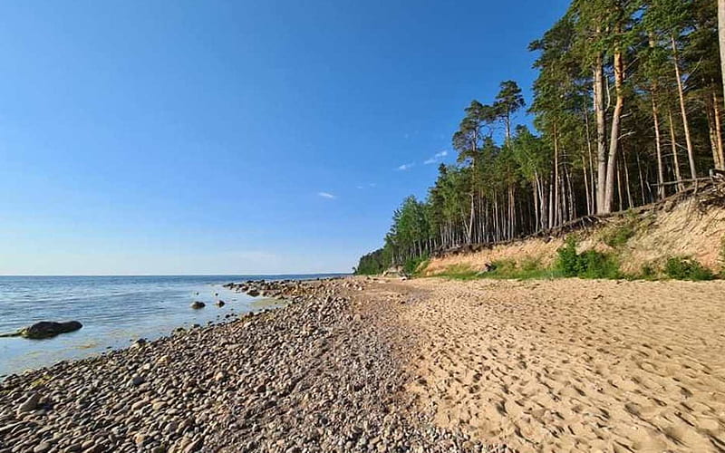 Coast of Latvia, sand, trees, pebbles, beach, Latvia, sea, HD wallpaper