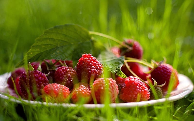 Fruits Food Raspberry Hd Wallpaper Peakpx