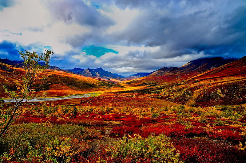 Indian Summer, Yukon, fall, colors, sky, canada, clouds, HD wallpaper