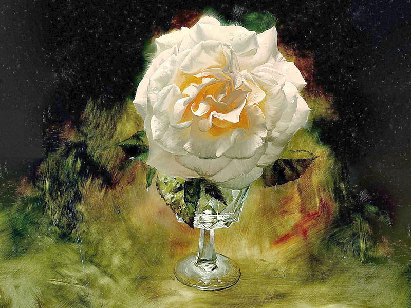 White Rose in Crystal Vase, art, romance, rose, bonito, artwork, floral, crystal vase, love, painting, wide screen, flower, beauty, HD wallpaper