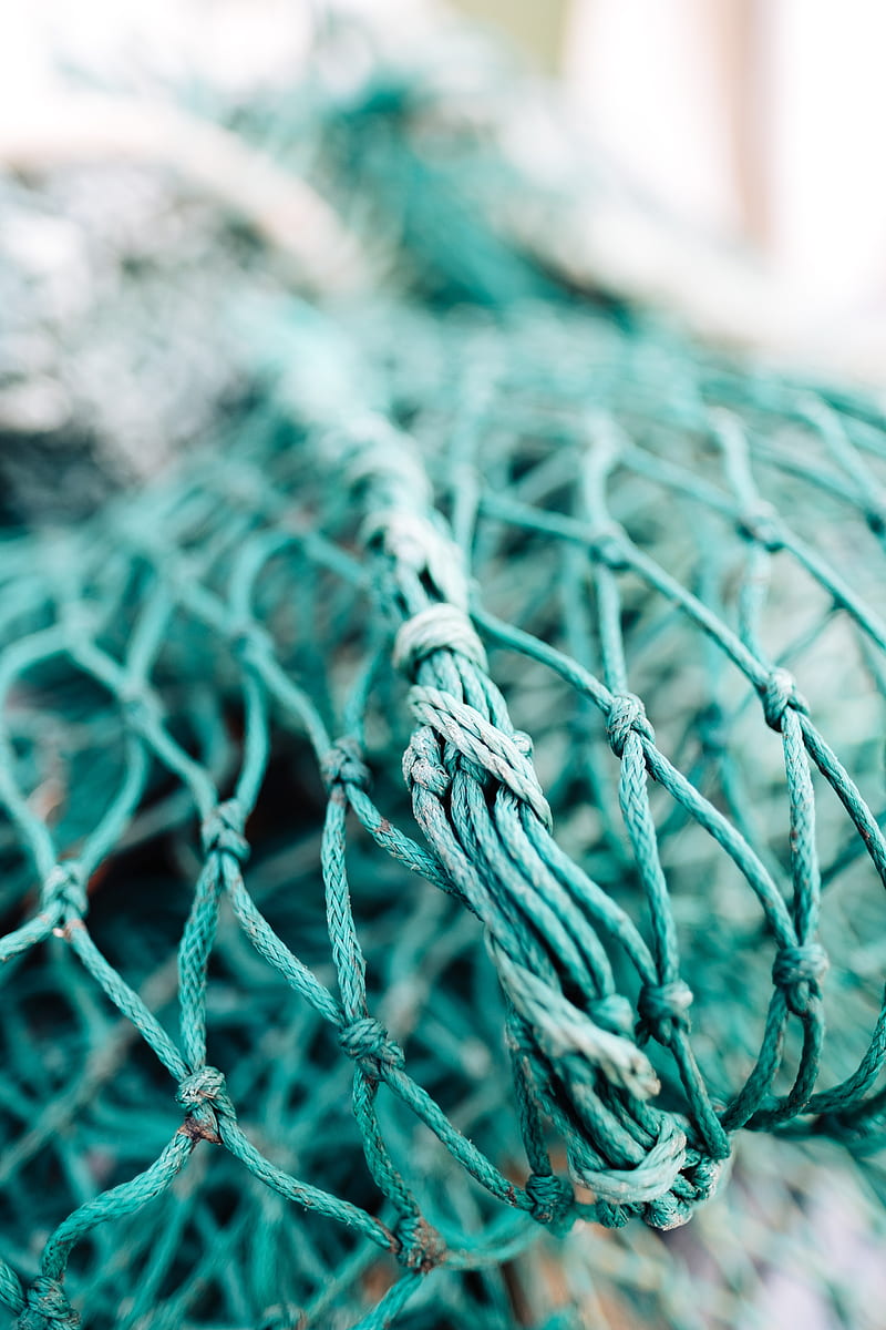 green fish net in shallow focus graphy, HD phone wallpaper