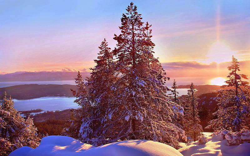 Canada, sunset, forest, winter, snowdrifts, North America, HD wallpaper