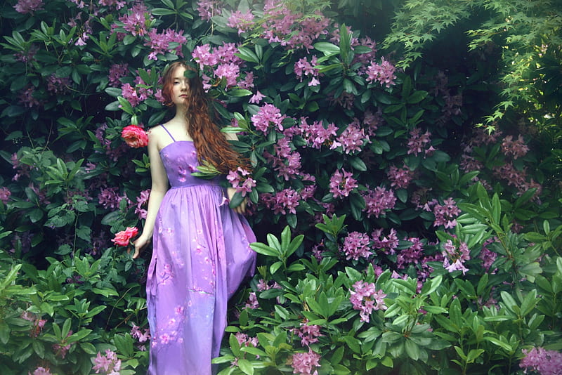 Beauty, lilac, dress, model, woman, green, girl, purple, summer, flower, pink, HD wallpaper