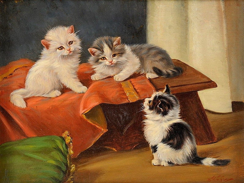cats-art-funny-bed-fluffy-three-painting-adorable-sweet-kitties-kittens-playing-friends-cute-fun-home-vector-, Decke, Cats, Freunde, Tisch, Deutshland, Kardine, HD wallpaper