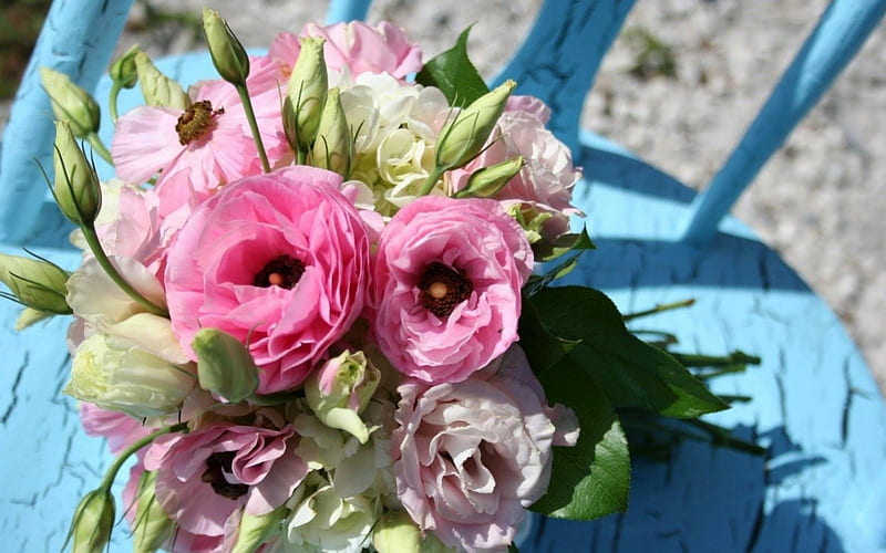 Pink ranunculus, ranunculus, green, bouquet, flower, chair, white, pink, blue, HD wallpaper