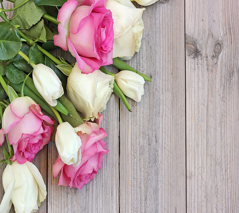 BeautifulRoses, bonito, roses, HD wallpaper | Peakpx
