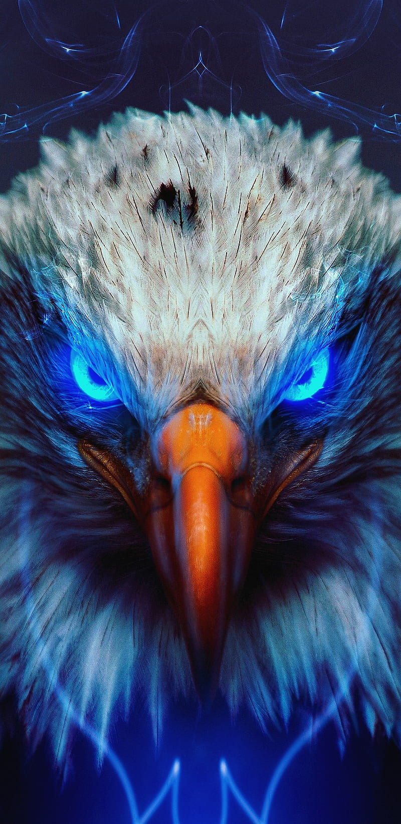Bald eagle, american, bule, HD phone wallpaper | Peakpx