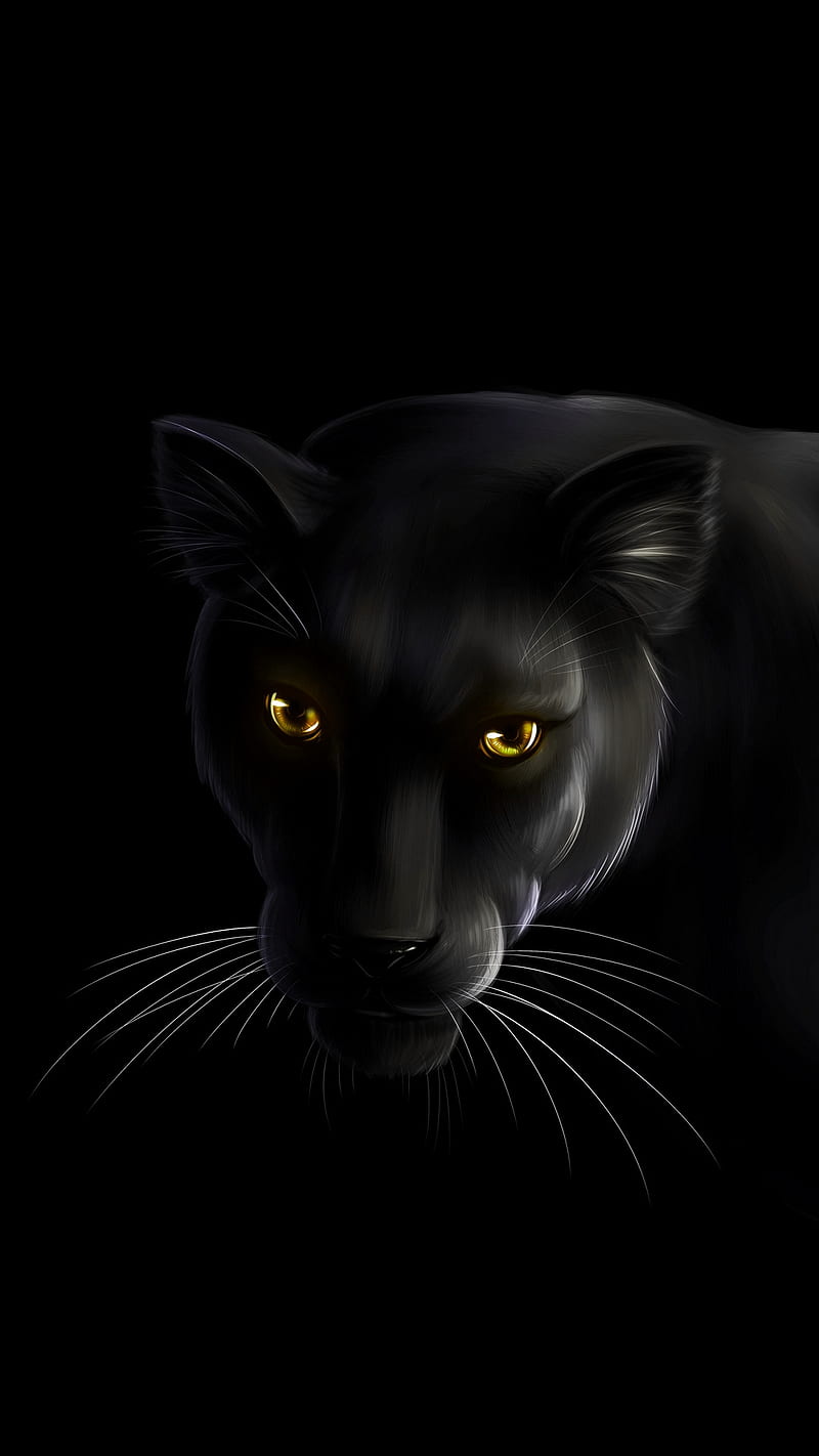 Pantera negra, animal, negro, gato, gatos, oscuro, dibujos, pantera,  salvaje, Fondo de pantalla de teléfono HD | Peakpx