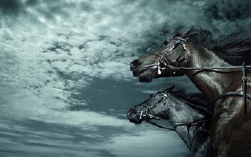 HORSE POWER, skies, equine, power, clouds, races, animals, horses, HD wallpaper