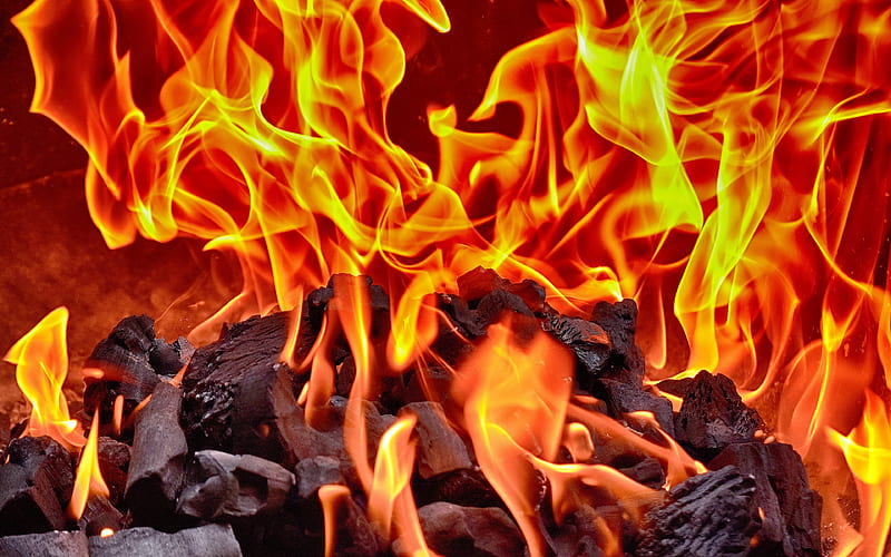 bonfire, fire, firewood, fireplace, wood charcoal, flames, close-up, HD wallpaper