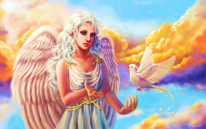 White Angel, Dove, Wings, Clouds, Woman, Hd Wallpaper 