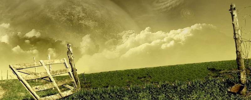 Amazing_abstrac, amazing abstrac, sky, plant, HD wallpaper | Peakpx