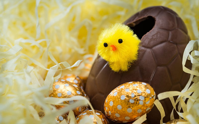 Happy Easter!, deco, brown, chicken, food, chocolate, yellow, easter, sweet, dessert, egg, HD wallpaper