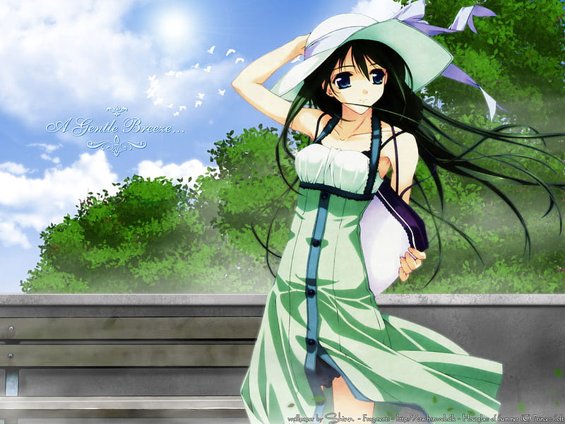 A Gentle Breeze, dress, wind, long, black, stairs, hat, hair, girl, green, trees sky, anime, HD wallpaper