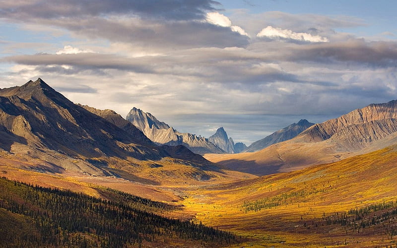 Yukon-Tombstone Regional Park, HD wallpaper