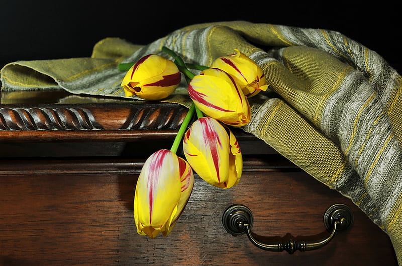 yellow tulips, table, shawl, still life, green, yellow, bonito, tulips, classic, HD wallpaper