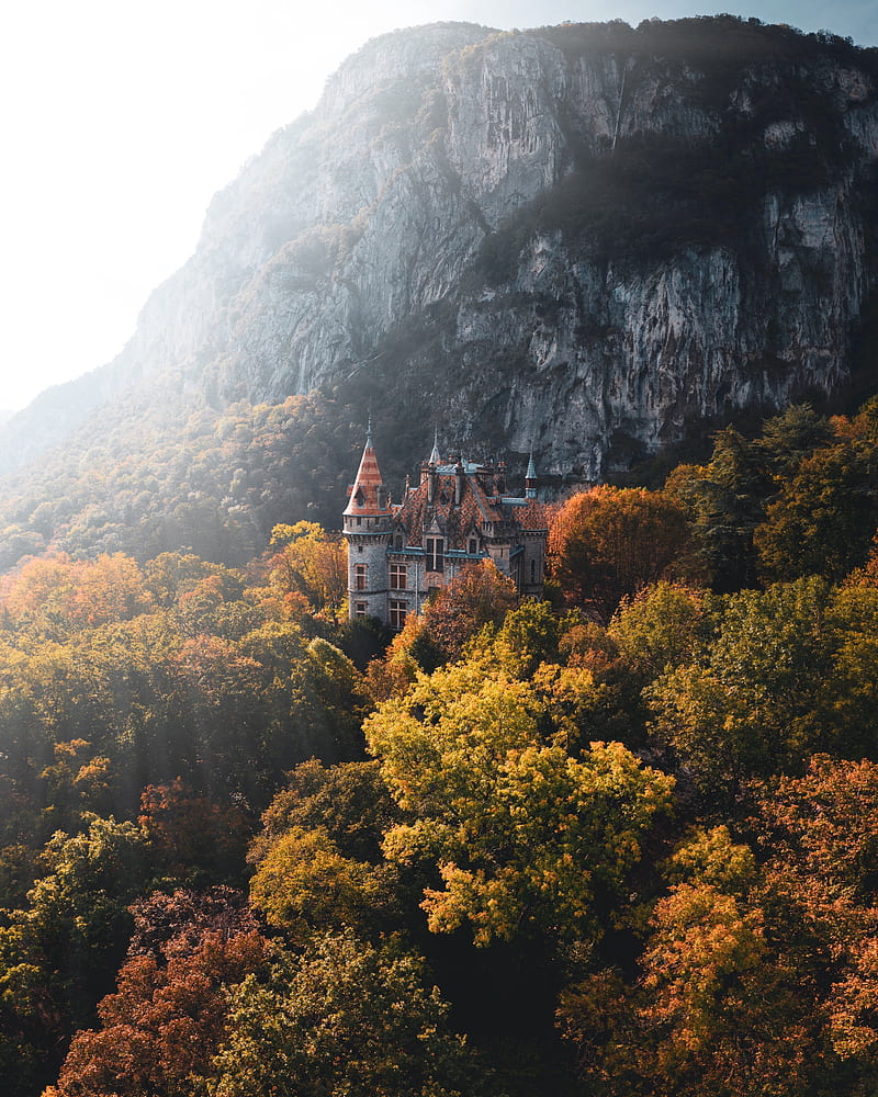 castle, trees, rocks, HD phone wallpaper